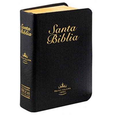 logos biblia en espanol gratis