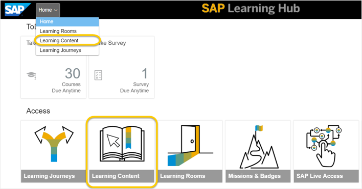 sap business one training manuals